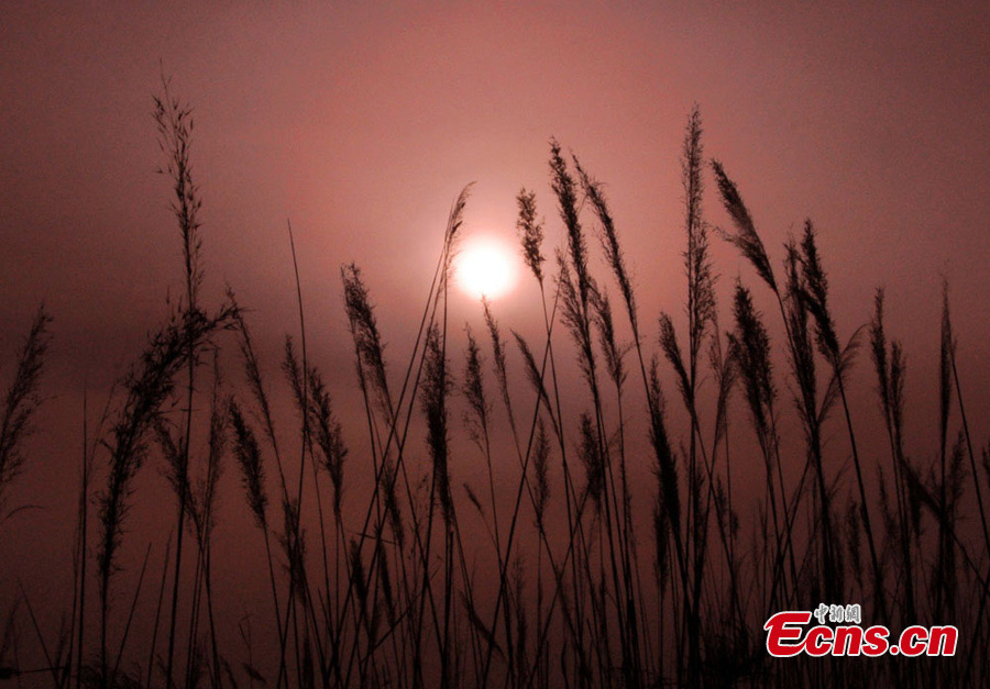 Photo taken in early May shows the amazing scenery of the Bosten Lake at twilight in Heshuo County, Northwest China's Xinjiang Uyghur Autonomous Region. (CNS/Wang Xiaocheng)