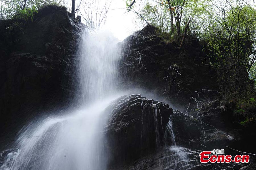 Photo taken in early May shows the magnificent waterfall in Guanegou Scenic Area (or Goose Ditch National Forest Part) in Dangchang County, Northwest China's Gansu Province. The scenic area is a natural oxygen bar with beautiful flowers, winding paths, and large areas of virgin forests. (CNS/Yang Yanmin)