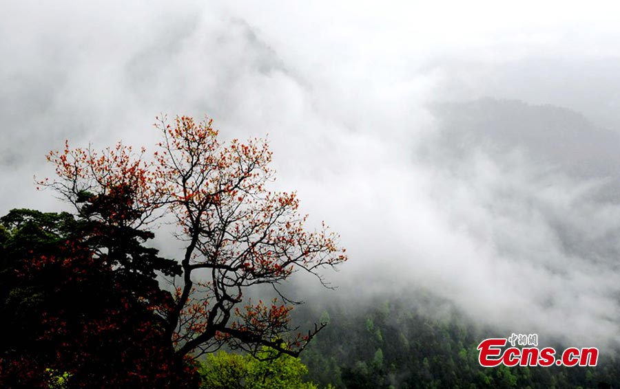 Photo taken on May 5, 2013 shows the amazing scenery of the Jinggang Mountains in Jiangxi Province. Located in the remote border region between Jiangxi and Hunan provinces, the Jinggang Mountains is a 4A tourist attraction. (CNS/Li Jianping)