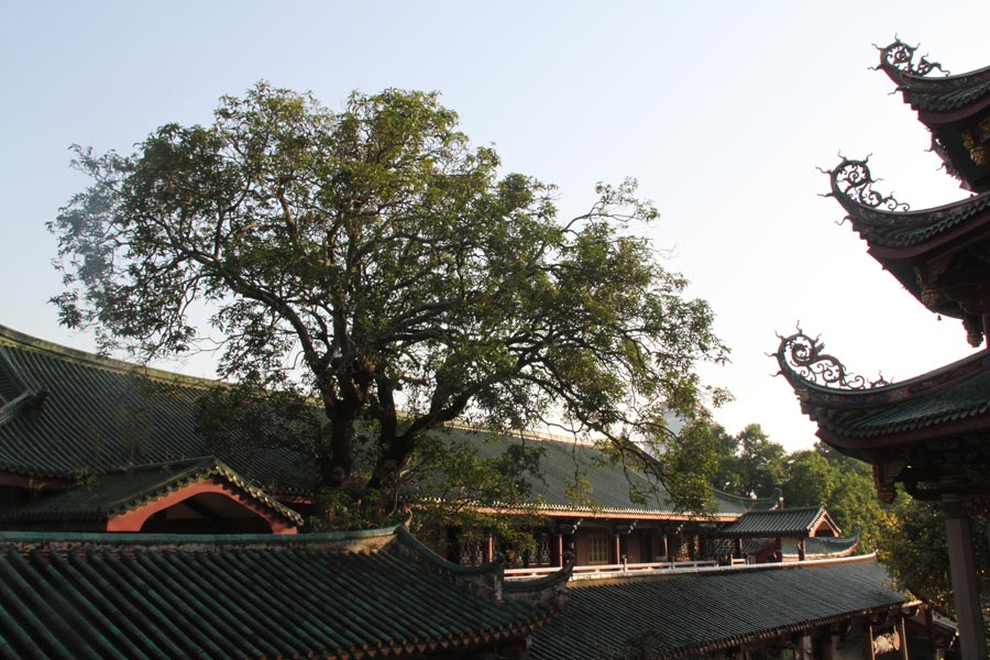 South Putuo Temple is adjacent to Xiamen University in the southeast of the city. Originally built in the Tang Dynasty (618-907), the temple was destroyed many times over the course of following dynasties. In the 23rd year of the Kangxi reign of the Qing Dynasty (1616-1912), it was once again rebuilt and given its present name. A statue of the Bodhisattva Guanyin, or Avalokitesvara, is enshrined in the temple, which receives an endless stream of worshippers and pilgrims throughout the year. (China.org.cn)