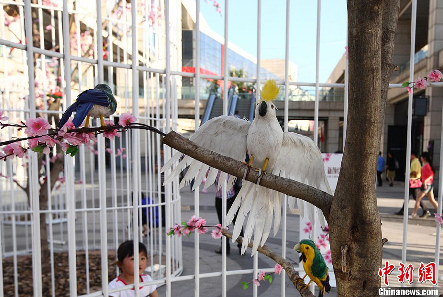 A girl stares at the artificial trees, flowers and birds inside a giant birdcage displayed at a square in south Nanjing, the capital city of east China's Jiangsu Province on Sunday, May 12, 2013. [Photo: Chinanews.com]