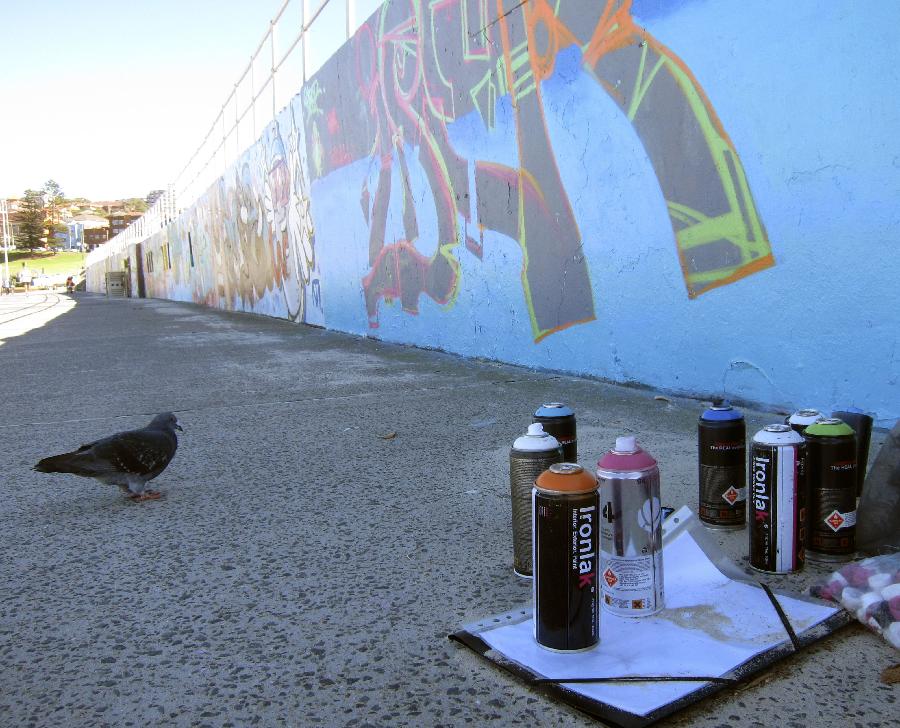 A dove stops in front of the Chloe Memorial Mural on the Bondi Beach in Sydney, Australia, May 17, 2013. The 15-year-old Chloe Byron was one of the 202 victims of the Bali bombing on Oct. 12, 2002. With the support of Chloe's family, local aerosol artists completed the Chloe Memorial Mural on the beach where she grew up in memory of Chloe and other victims. The local council have commissioned the artists to recreate the murals which are in need of repair. (Xinhua/Jin Linpeng) 