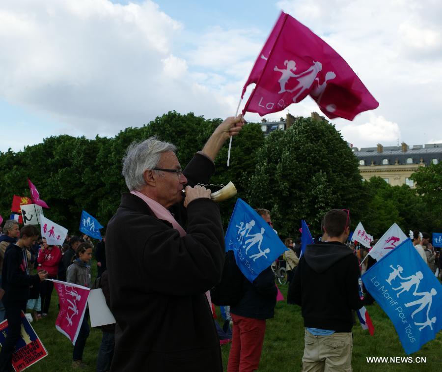 People protest against the France's new gay marriage law in Paris, France, on May 26, 2013.(Xinhua/Zheng Suchun) 