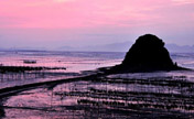 Xiapu: China's most beautiful mudflat