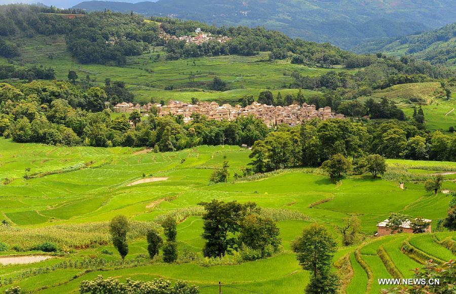 Photo taken on June 29, 2013 shows the scenery of the terraced fields in Yuanyang County of Honghe Prefecture in southwest China's Yunnan Province. The UNESCO's World Heritage Committee inscribed China's cultural landscape of Honghe Hani Rice Terraces onto the prestigious World Heritage List on June 22, bringing the total number of World Heritage Sites in China to 45. (Xinhua/Chen Haining)