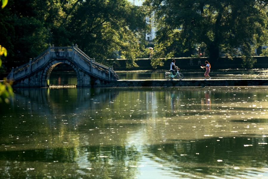 Photo taken on July 9, 2013 shows the scenery of Hongcun Village, known as "a village in the Chinese painting", in Yixian County of Huangshan City, east China's Anhui Province. (Xinhua/Shi Guangde)