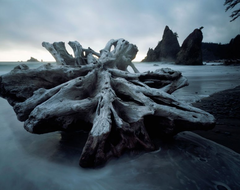 Olympic National Park (Source:huanqiu.com)