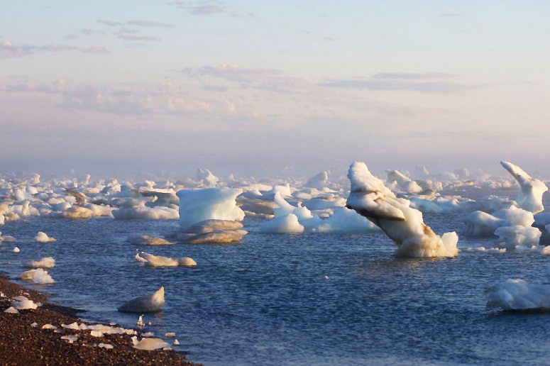 Artic national wildlife refuge (Source:huanqiu.com)