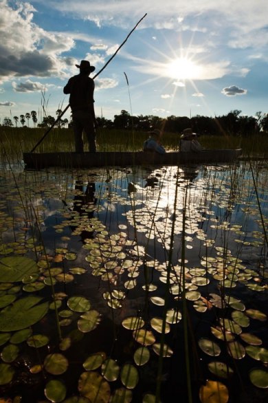 Wild animal protection area in Botswana (Source:huanqiu.com)