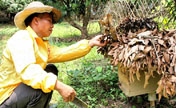 A beekeeper’s bittersweet job -- What’s the Buzz? 