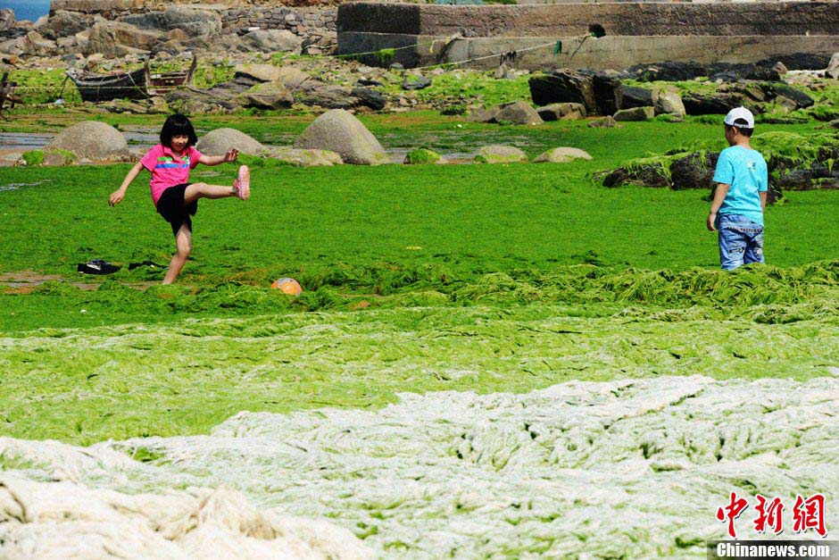 Tourists enjoy themselves on the beach in Qingdao, east China's Shandong province, June 12, 2013. (CNS/Jin Shaoyue) 