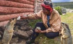 Adorable! Marmots get along well with herdsmen