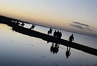 Tourists take pictures beside Qinghai Lake in Xining