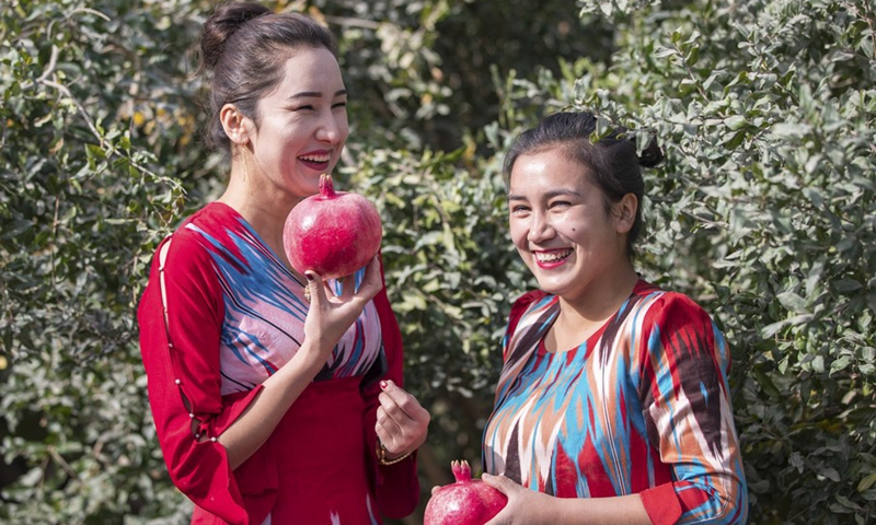 Farmers pick megranates in Pishan County of Hotan, northwest China's Xinjiang Uygur Autonomous Region, Oct. 8, 2020.(Photo: Xinhua)