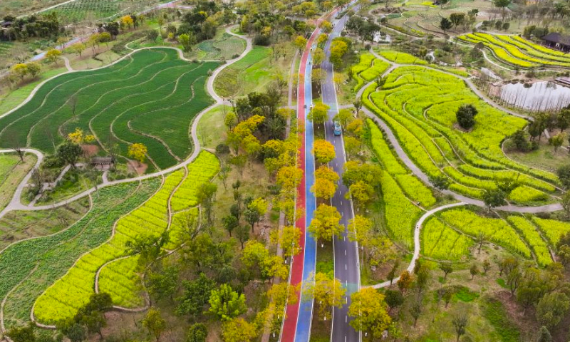 An aerial drone photo shows a view of Guangyang Isle in southwest China's Chongqing, March 16, 2024. Guangyang Isle, the most extensive green island in the upper reaches of the Yangtze River, has been turned into an ecological restoration and protection classroom for ecotourists and school children.The local ecosystem and biodiversity were once seriously threatened due to real-estate projects in the area. However, the local government brought harmful projects of this sort to a halt in 2017, starting the restoration of the environment on the island. (Xinhua/Wang Quanchao)