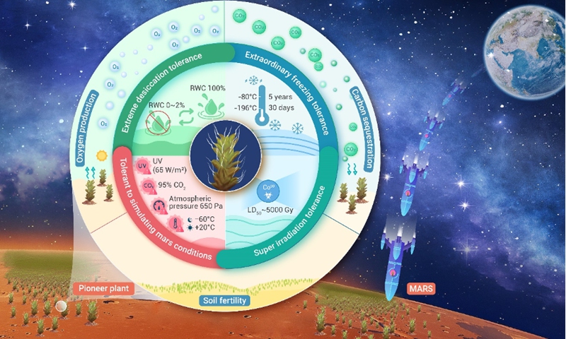 Photo: Courtesy of the Xinjiang Institute of Ecology and Geography of the Chinese Academy of Sciences